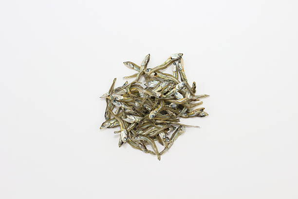 This piece expresses the beautiful scenery of traditional Japanese cuisine colored by small dried sardines. It enriches the dining table.