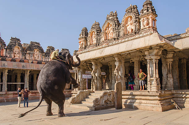 Hampi, Karnataka, India. February 11, 2014. Lakshmi, the temple elephant at Virupaksha Temple, A UNESCO World Heritage site.