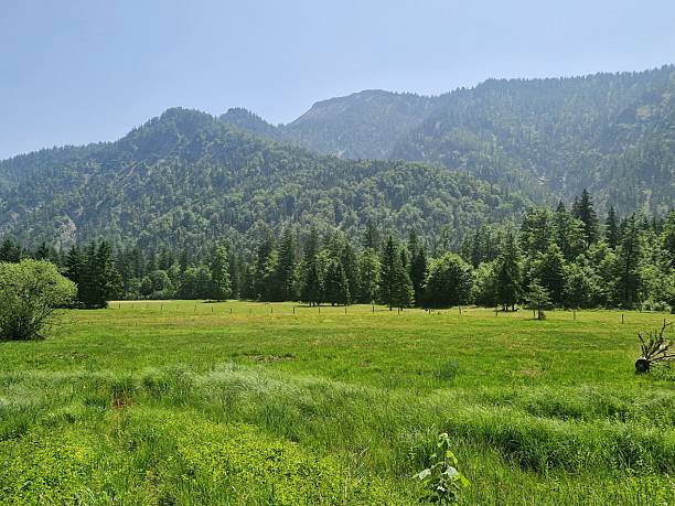 istock Alps - near Ruhpolding Bavaria 2220403480