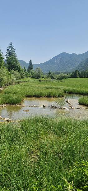 istock small river near Ruhpolding Bavaria 2220403484
