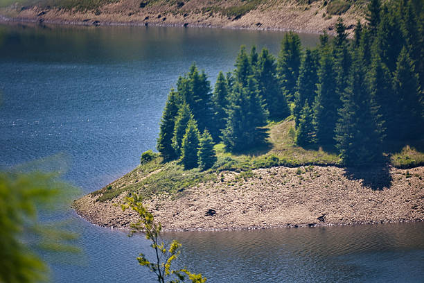 istock Dam on the Rennsteig in the Thuringian Forest 2220403651