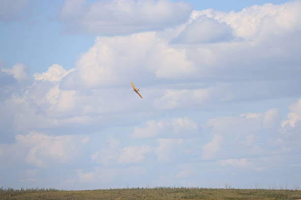 A  photo of the countryside in early summer