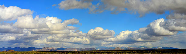 istock Panorama Landscape Sonoran Desert Arizona 2220404986