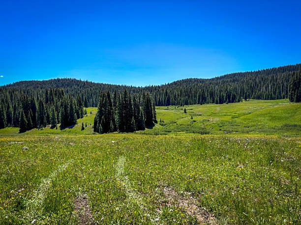 istock High Country Prairie 2220405570