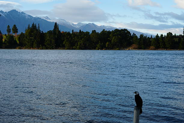 This is the view from the small township of Glenorchy looking out across Lake Wakatipu towards a pontoon populated by seagulls. Beyond we see the majestic peaks of the Southern Alps of the Otago Region of New Zealand's South Island.