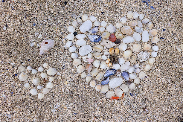 istock Beautiful blond child, boy, gathering shells on a beach in Norway, making heart 2220408262