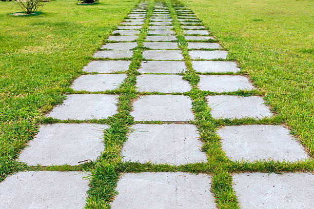 Wet footpath paved with concrete square slabs with spaces between them are overgrown with grass in the middle of the lawn during a spring rain