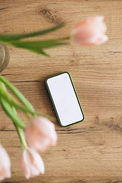 istock Smartphone with blank white screen and tulips on wooden table, top view. 2220410120