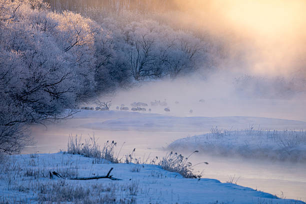 istock Beautiful snow scenery in Hokkaido 2220410195