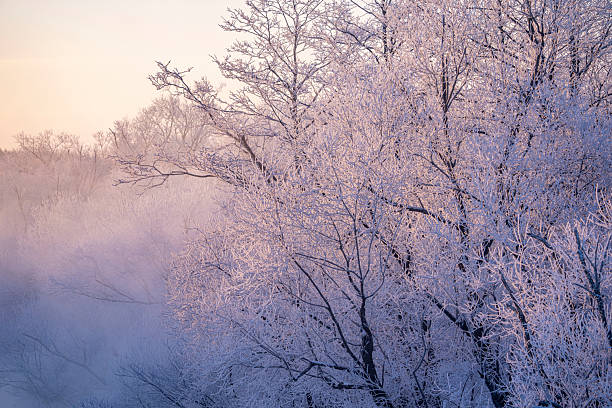 istock Beautiful snow scenery in Hokkaido 2220410202