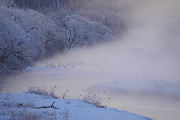 istock Beautiful snow scenery in Hokkaido 2220410721