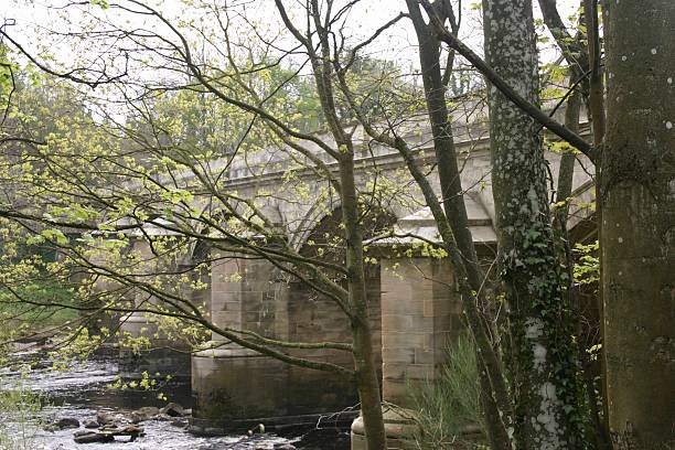 istock Large stone bridge over the river with arches 2220413506