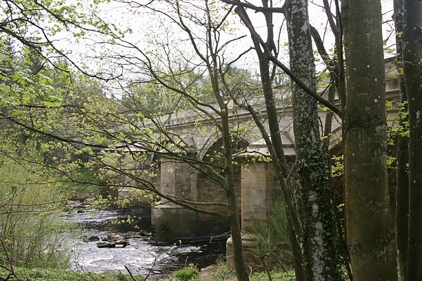 istock Large stone bridge over the river with arches 2220413597