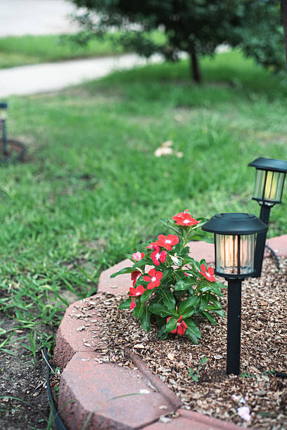 istock Red vinca flowers, or Madagascar periwinkle, Catharanthus genus blossom at stone brick tree ring with mulch, irrigation watering and solar landscaping light, colorful curb appeal and charm, Texas 2220418193