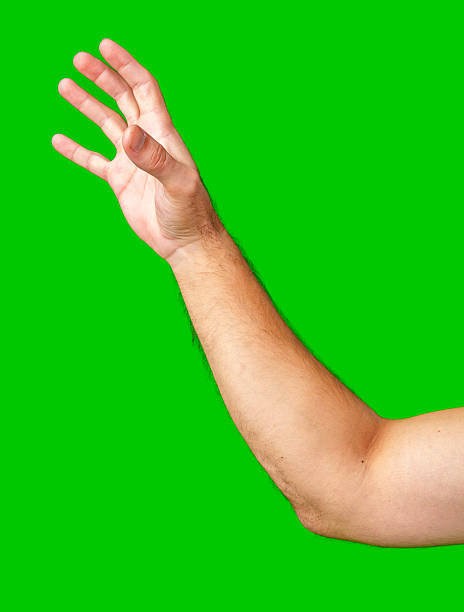 istock human arm gesturing with raised fingers against a bright green backdrop 2220422301