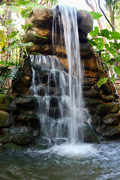 A serene waterfall cascading over rocks, surrounded by lush greenery, creating a peaceful natural oasis.