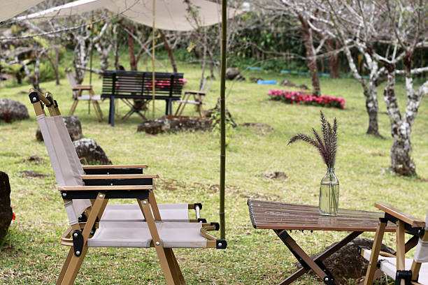 istock Outdoor garden with chairs and table under canopy, peaceful setting 2220425618