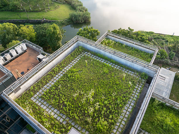 aerial view urban green rooftop garden