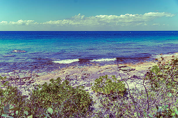 Tropical beach on a sunny day