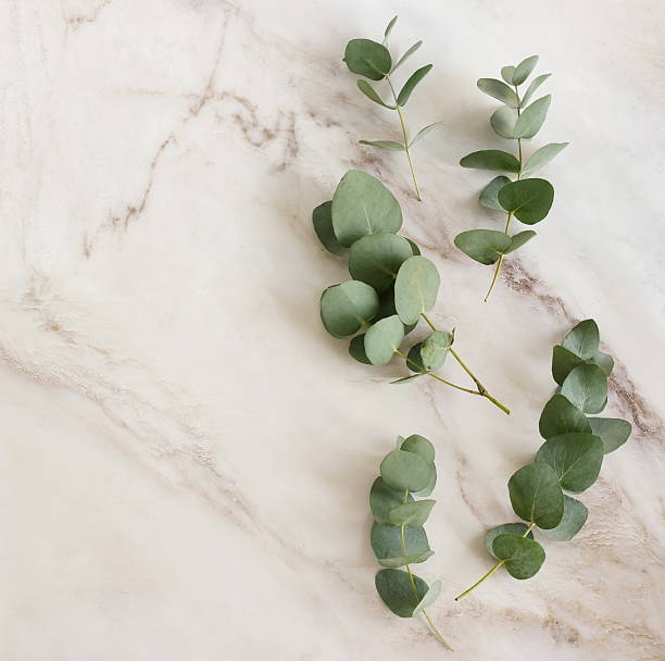 istock Eucalyptus leaves frame top view on a beige marble background with copy space 2220428403