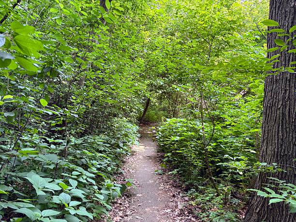 Jacobus Park in Wauwatosa, Wisconsin