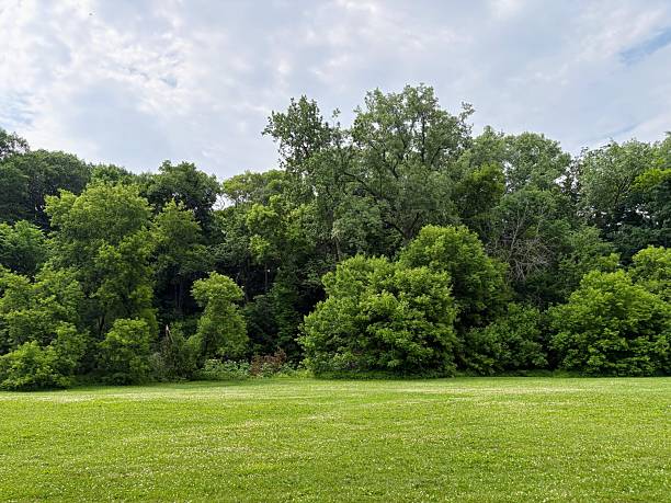 istock Jacobus Park in Wauwatosa, Wisconsin 2220430136