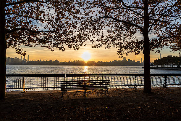 Peaceful morning scene in Hoboken, NJ with silhouetted bench under fall trees, facing the Manhattan skyline across the Hudson River.