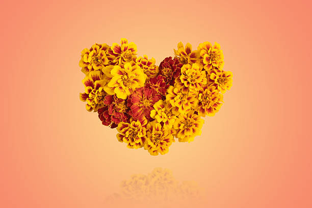 istock Mockup heart flowers 2220431111