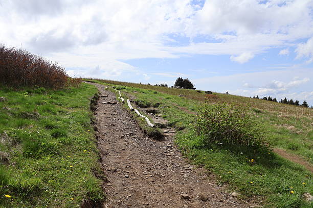 Rugged and beautiful landscape of the Appalachian Trail on top of Roan Mountain.