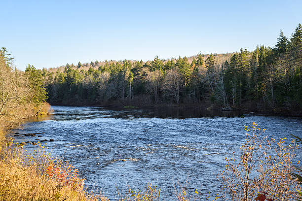 istock Fast flowing river through a forest at sunset in autumn 2220437399