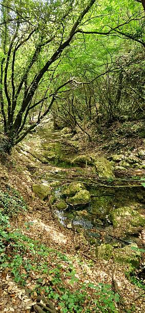 istock waterfall way near Labin Istria 2220437592
