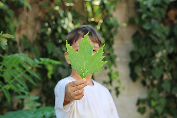 Little Girl Cover face with leaves