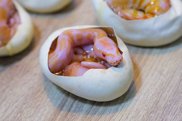 Cooking Python Eggs 200+ Python Egg Stock Photos, Pictures & Royalty-Free Images - iStock