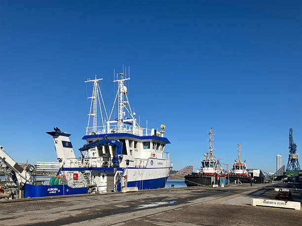 Vessels moored quayside in Aarhus Havn (Port of Aarhus). The larger vessel is a research vessel belonging to Aarhus University and the two smaller vessels are tugs. The iconic Dok8000 crane can be seen in the distance to the right and part of Aarhus University can be seen across the harbour on the left.