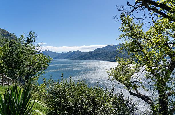 istock Serene lake view with lush mountains and clear sky. 2220450759