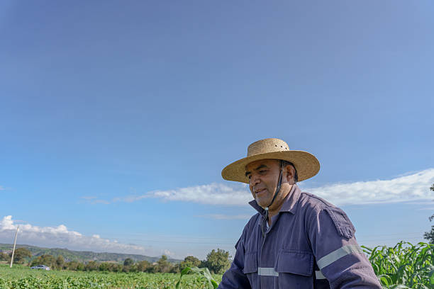 istock Mexican farmer working in corn field under blue sky 2220453335