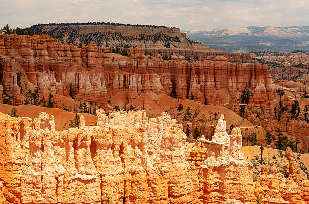 Hoodoos in Bryce Canyon National Park, Utah