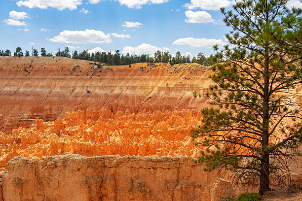 istock Hoodoos in Bryce Canyon National Park, Utah 2220462111