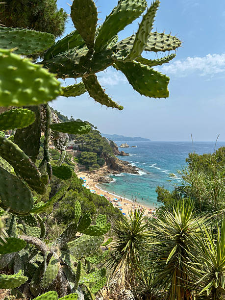 istock Costa Brava, Catalunia, Spain 2220463145