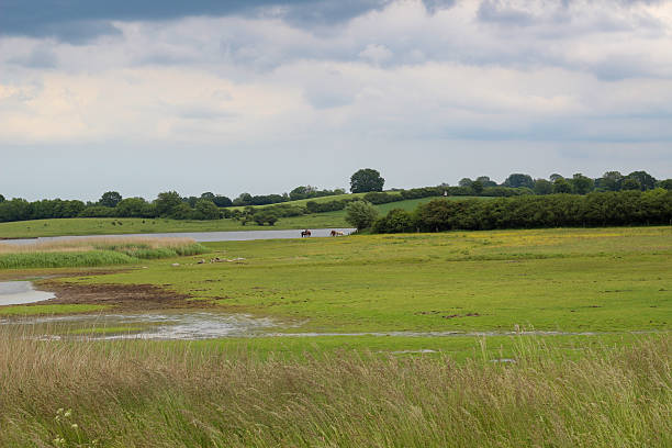 istock The nature reserve in Hohwacht 2220464264