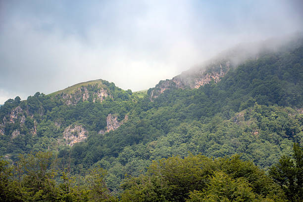 istock Hiking to forest in spring time 2220465884