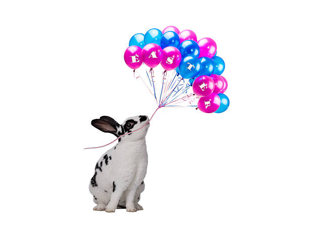 Christmas rabbit with bright balls isolated on white background