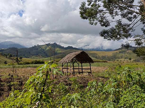 A hut where farmers rest on the mountain top