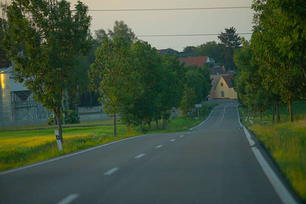 A car is cruising along a scenic country road that is lined with lush green trees on both sides, creating a picturesque view