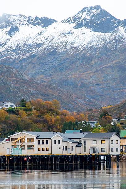 istock Town of Svolvaer 2220487469