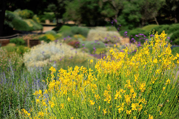 Italian garden