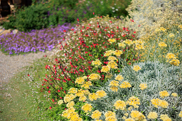 Italian garden
