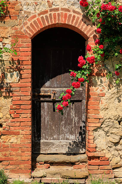 istock Red Roses and old wooden door 2220489421