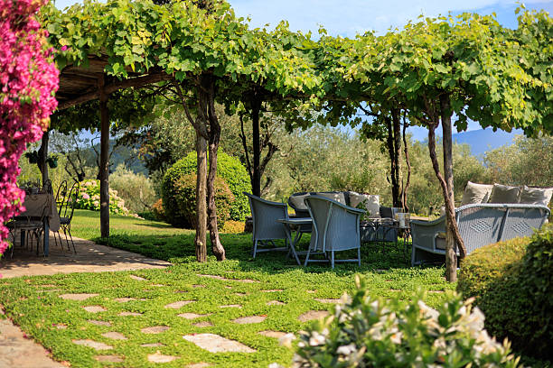 A beautiful modern Patio with a pergola, Wicker sofas etc.