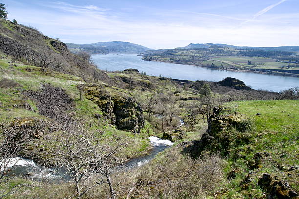 The Columbia River from Rowena Crest Viewpoint near Multnomah Falls State, Oregon